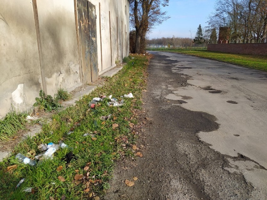 Oleśnica. Mieszkańcy grzmią, że koszy na śmieci jest za mało. Co na to Urząd Miasta Oleśnica? 