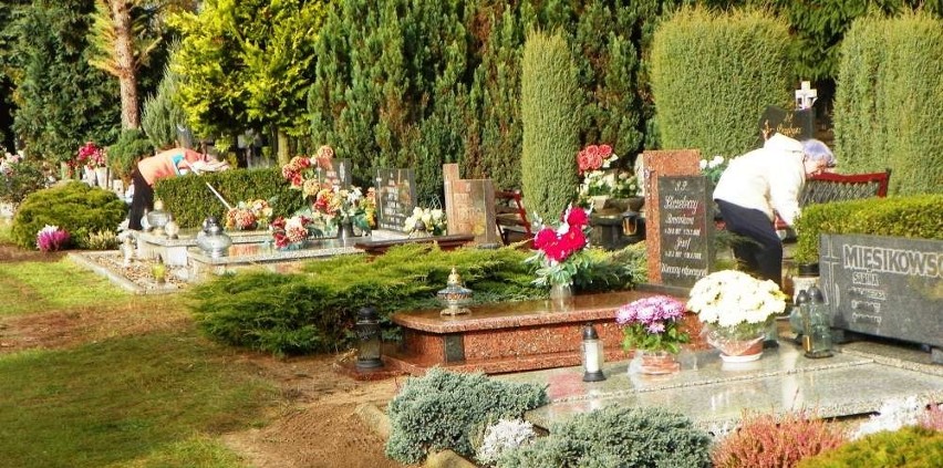 Cmentarz w Pile przed 1 listopada