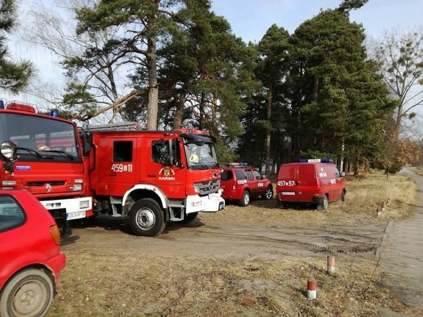 W akcji uczestniczyli strażacy z OSP Wdzydz Tucholskich....