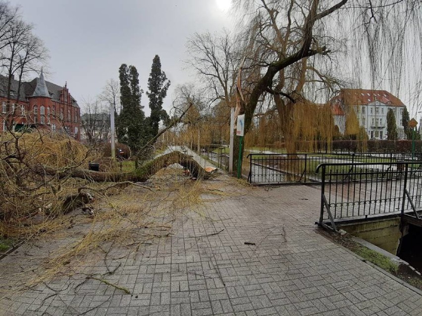 Wichura w Szczecinku wyrządziła dzisiaj duże szkody