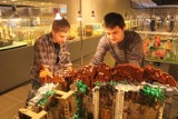 Wystawa klocków LEGO w Porcie Łódź [zdjęcia]