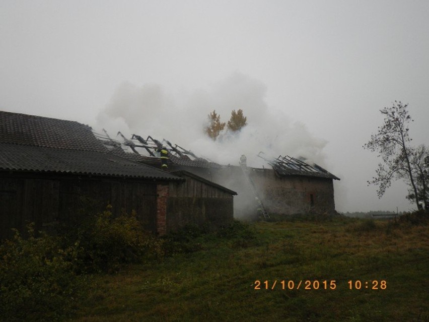 Pożar w miejscowości Krzywińskie
