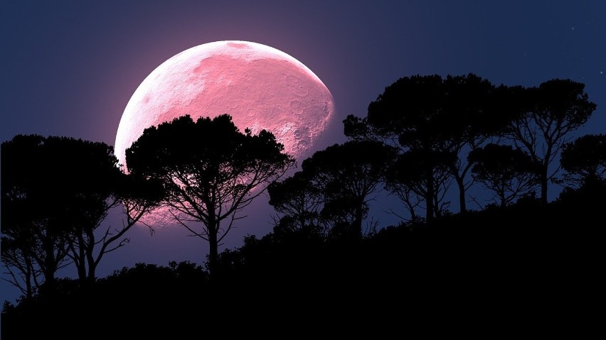 Na niebie pojawi się Różowy Księżyc. Kiedy zobaczymy to wyjątkowe zjawisko?