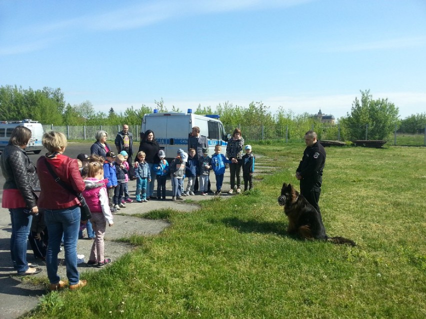 Włocławek: "Pluszowy Miś" gościł u policjantów [ZDJĘCIA]