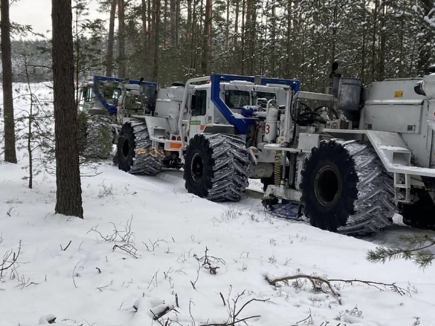 W lutym specjalne Monster-trucki szukały złóż w lasach pod...