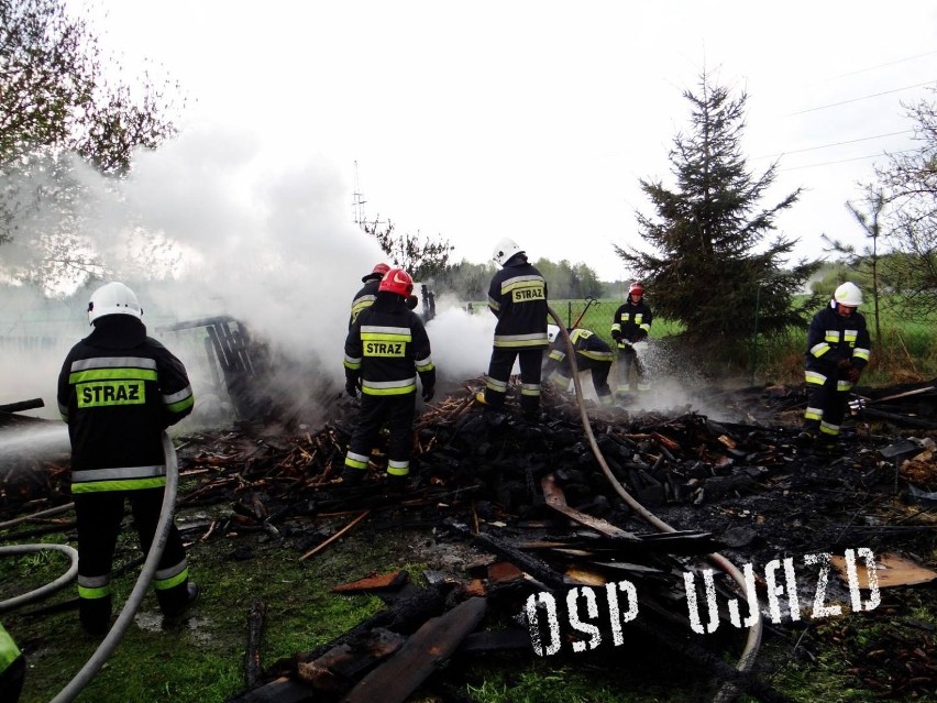 Pożar w Kolonii Olszowa: Strażacy walczyli z pożarem komórki