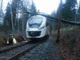 Pociąg uderzył w drzewo pod Szklarską Porębą. 400 minut opóźnienia