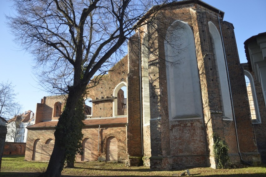 Budki znalazły się już m.in. na murach kościoła św. Mikołaja