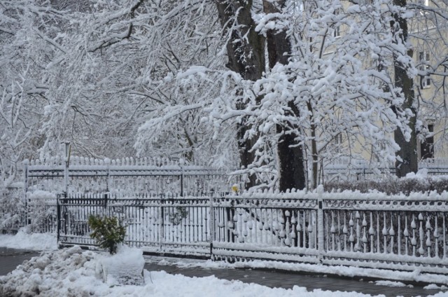 Choć Sopot najczęściej odwiedzany jest latem, to wg niektórych najpiękniej wygląda zimą. Gdy śnieg przykryje drzewa i krzewy, uwypuklając dodatkowo architektoniczne detale, Sopot zamienia się w zaczarowane, baśniowe miasteczko. Zapraszamy na fotograficzny spacer po otulonym śniegiem, zimowym Sopocie.