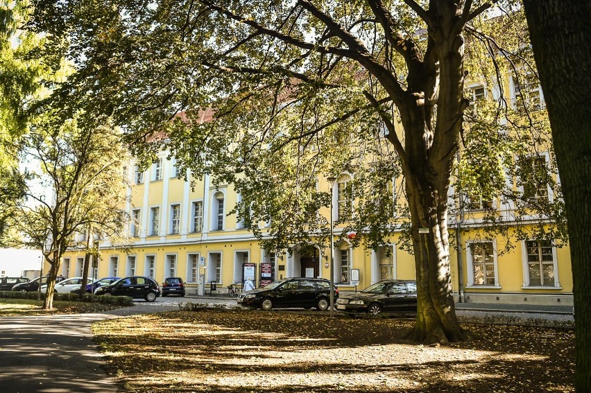 Park przy Placu Kościuszki w Lesznie  w październiku 2020