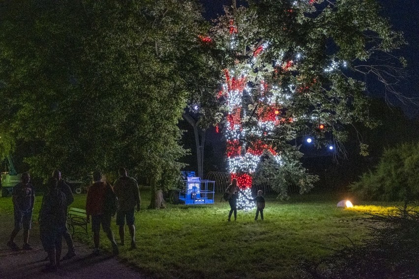 Tegoroczna 12. edycja Bella Skyway Festival w Toruniu odbywa...