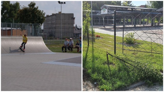 W ostatnich dniach wandale zniszczyli skatepark i drzewka przy targowisku miejskim