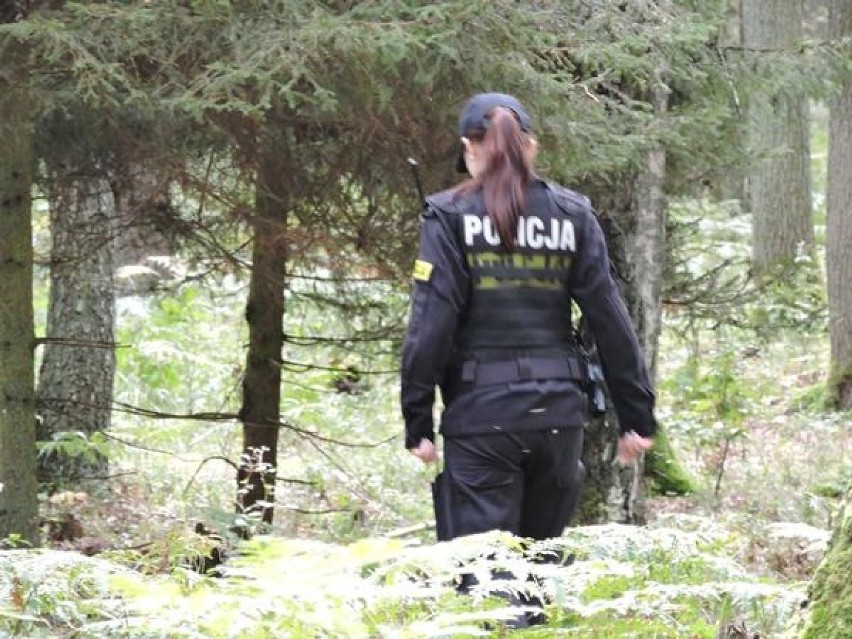Sezon grzybowy w pełni - policja radzi jak zachować się w lesie