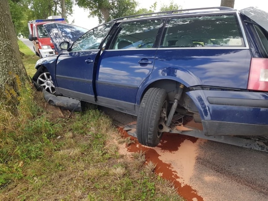 Gmina Nowy Staw. Samochód osobowy uderzył w dwa drzewa [ZDJĘCIA]