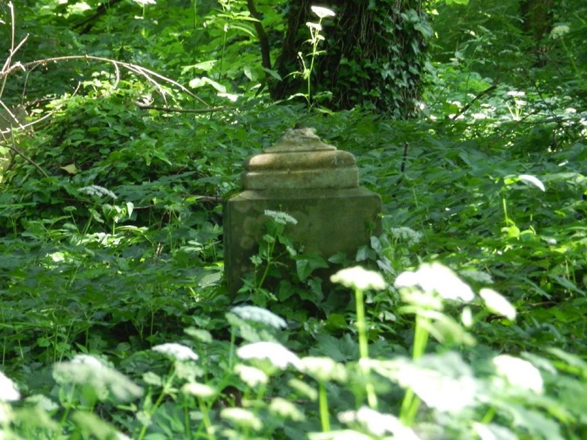 Smak Czasów Minionych - cmentarz ewangelicki w Rogoźnie