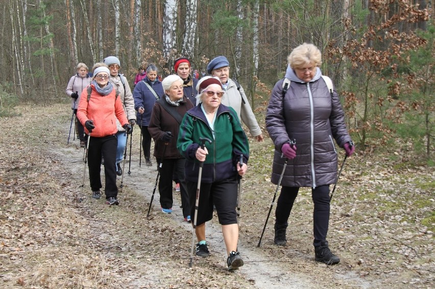 Rajd nordic walking w Tomaszowie zorganizował Miejski Ośrodek Kultury