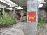 Ruiny tkalni papieskiej w Łodzi. Zobacz, jak wygląda dziś miejsce gdzie Jan Paweł II spotkał się z włókniarkami Uniontexu. ZDJĘCIA