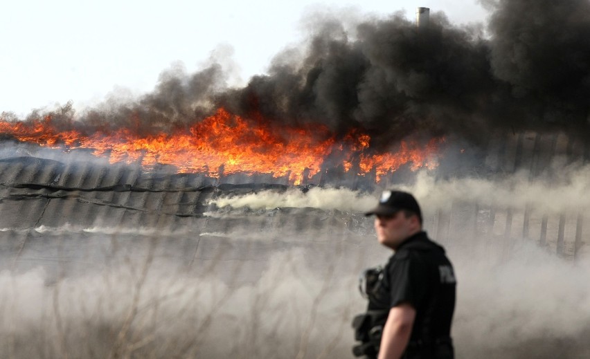 Pożar hali w Gdyni: Spaliła się hala przy Vistalu (okolice ul. Hutniczej) ZDJĘCIA Z AKCJI