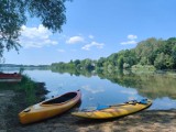 Lato w pełni. Gdzie na plażę w Gliwicach i najbliższej okolicy? Oto 5 idealnych miejscówek na upał. Zdjęcia