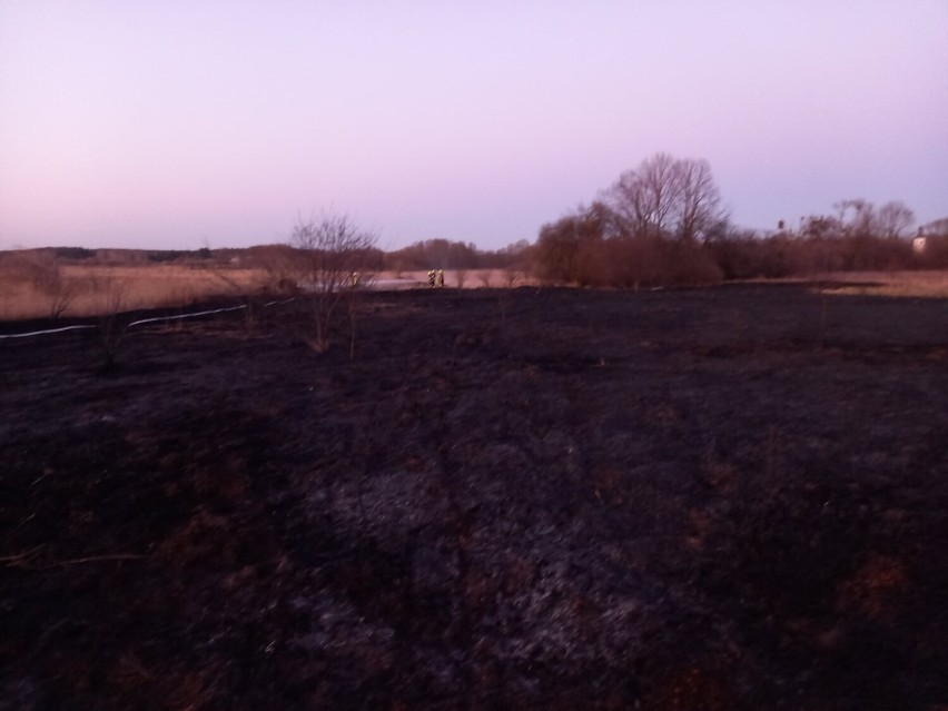 Trawy w Lipnie i powiecie wciąż płoną mimo licznych apeli [zdjęcia]