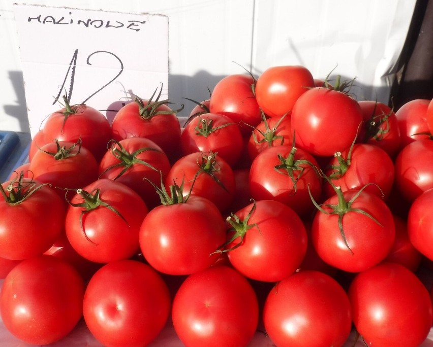 Pomidory malinowe kosztowały 12 złotych za kilogram