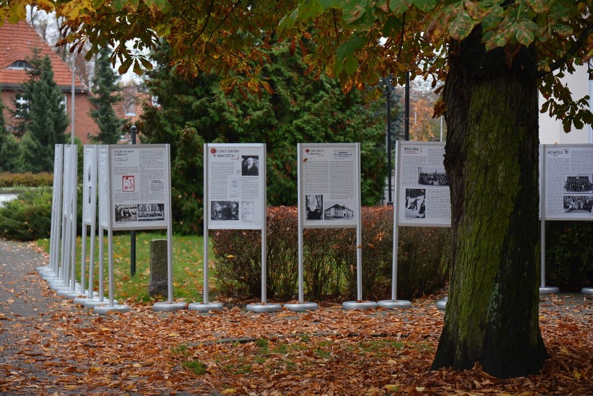 W Pile wystawa plenerowa „1922-2022- 100 lecie Związku Polaków w Niemczech - Ludzie-Idee-Pamięć" [ZDJĘCIA]