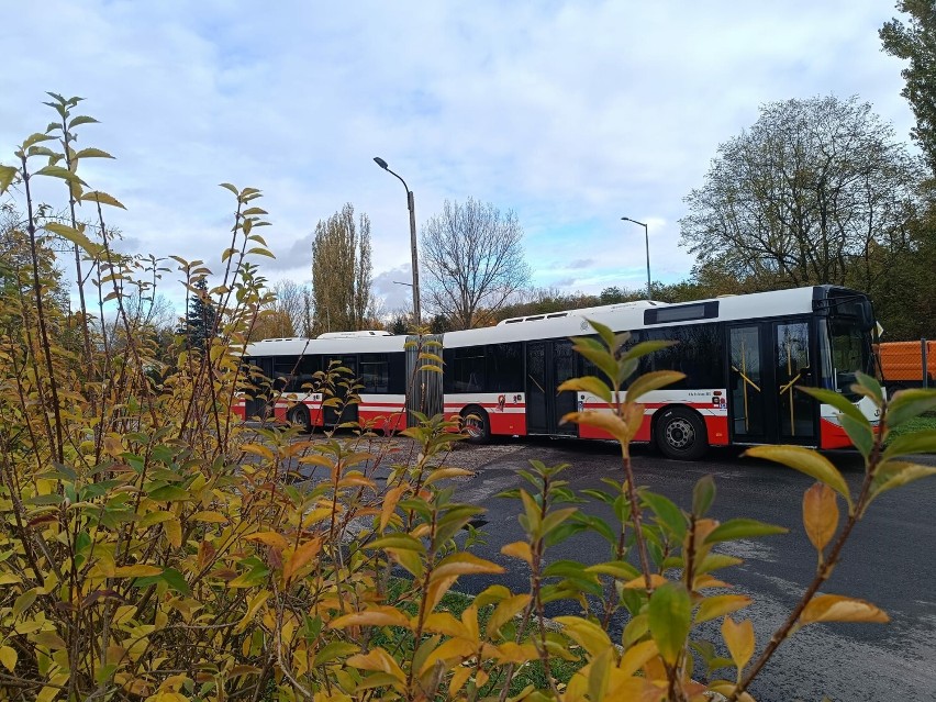 Zmiany dla pasażerów autobusów w Koninie. MZK wprowadza dodatkowy kurs