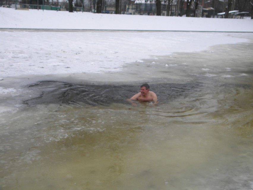 Pruszcz Gd.: Mors, który lubi kąpać się w Raduni zimą