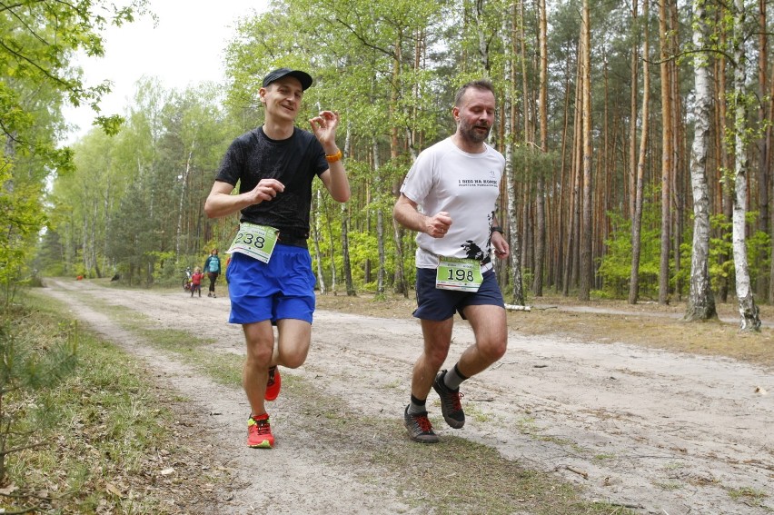 Bieg Łosia 2019. Biegacze ponownie rywalizowali w Puszczy Kampinoskiej [ZDJĘCIA]