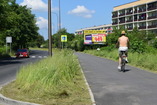 Wreszcie koszą w okolicach ulicy Okrężnej w Żorach