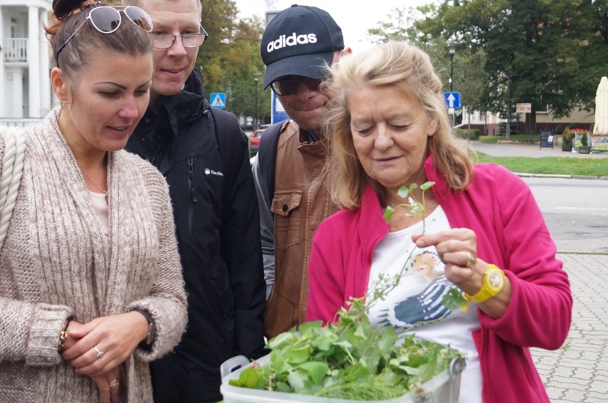 Edukacyjny spacer po Solankach [zdjęcia]