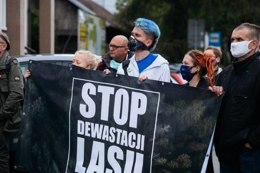 Pabianice. Protestują przeciwko wycince lasu w Porszewicach