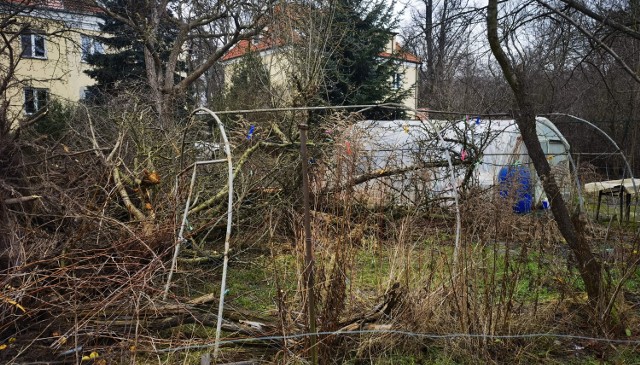 Mieszkańcy posesji przy ulicy Spokojnej zrobili zdjęcia terenu, którego wciąż jeszcze są dzierżawcami, po tym jak wjechał tam ciężki sprzęt. Przedstawiciele STBS tłumaczą, że byli przekonani, że mieszkańcy wiedzą o tym, że taki sprzęt tam się pojawi