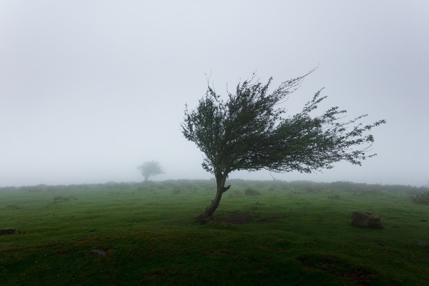 IMGW opublikowało prognozę zagrożeń meteorologicznych na...