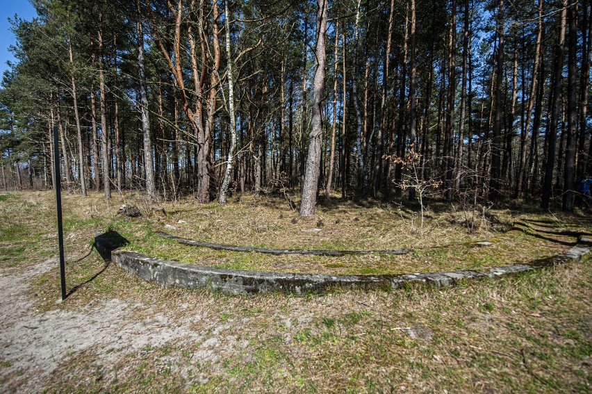 Bunkry w Bobolinie. Atrakcja gminy Darłowo [zdjęcia]