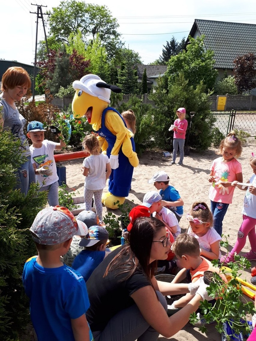 Dzieci w ZSP Nądnia oraz w oddziale w Nowej Wsi Zbąskiej, sadzą kwiaty z MRÓWKĄ  [Zdjęcia]