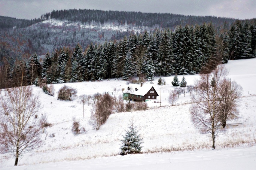 Zima w Sudetach. Zobacz zimowe zdjęcia naszego regionu! 