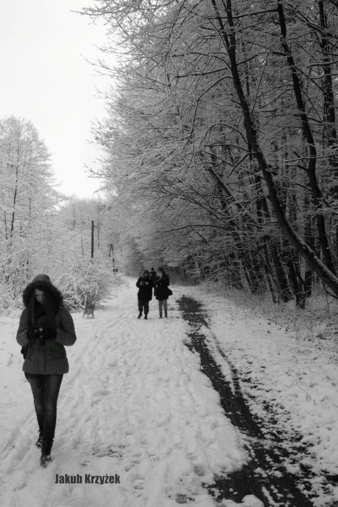 Zima w Arboretum w obiektywie Fotonu [ZDJĘCIA]