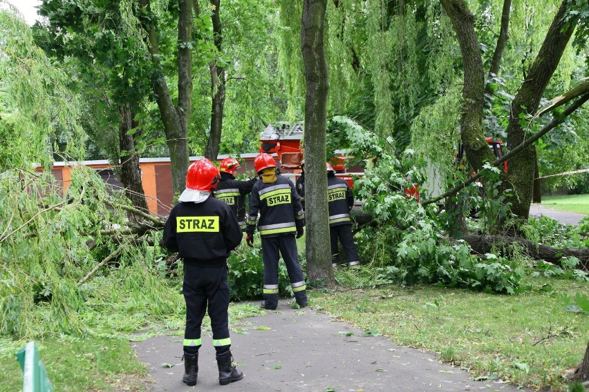 Wichura nad Łodzią. Połamane drzewa i uszkodzone samochody [ZDJĘCIA]