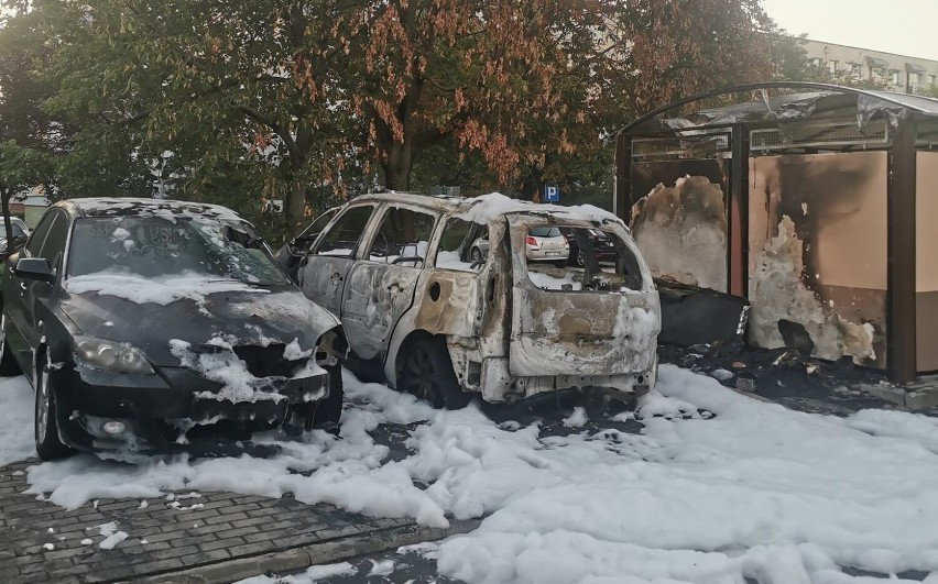 Tak wyglądały spalone auta i śmietnik przy ul. Łyskowskiego