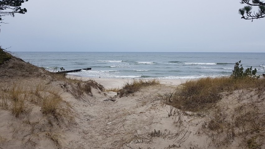 Plaża w Jarosławcu zimą. Warto się wybrać na spacer [ZDJĘCIA]