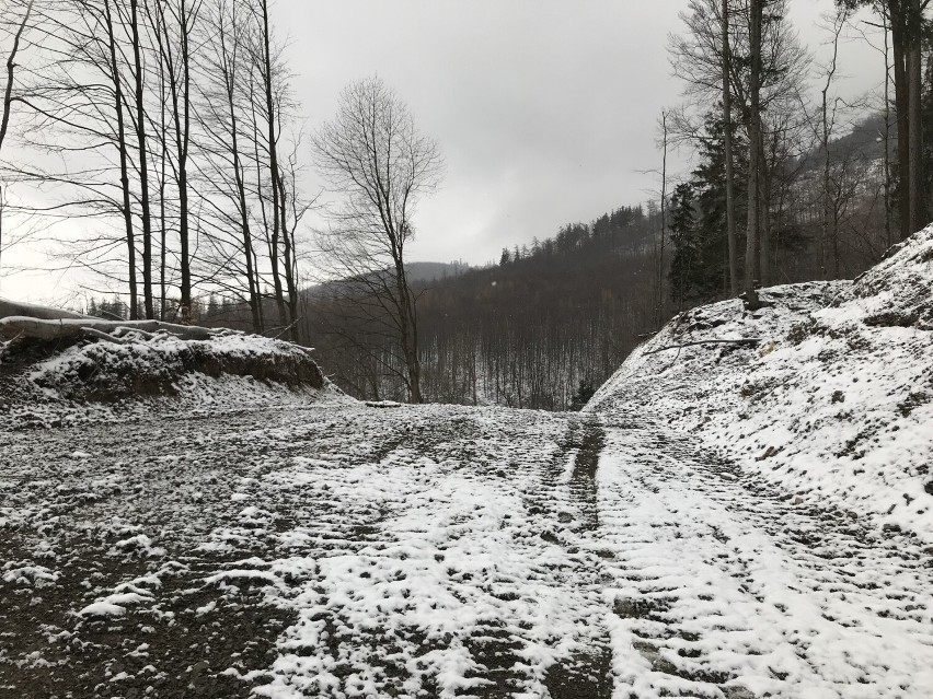 Zobacz kolejne zdjęcia. Przesuwaj zdjęcia w prawo - naciśnij...