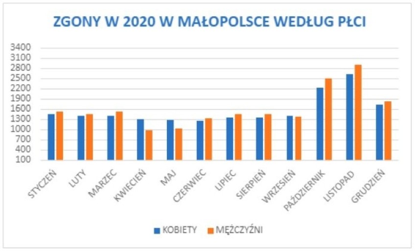 W Małopolsce w 2020 roku liczba zgonów wzrosła o blisko 20 procent. To tak, jakby z mapy województwa zniknęły Sułkowice