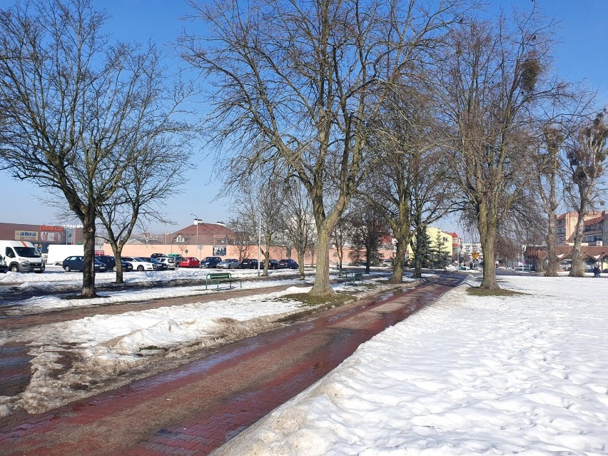 Wiosna na ulicach Starogardu Gdańskiego? ZDJĘCIA