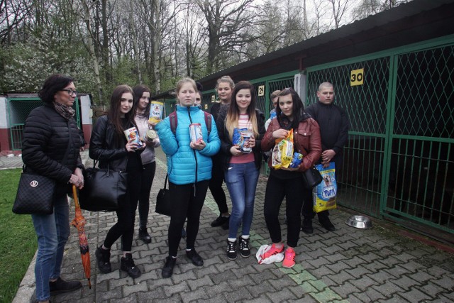 Gimnazjaliści z legnickiego zamku pomagają zwierzakom