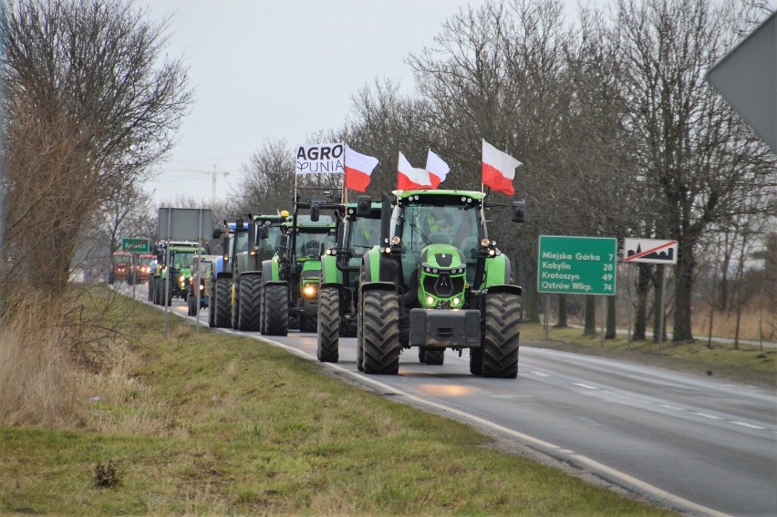 Protest rolników - Rawicz 2022. Rolnicy przejechali przez miasto. Korki w samym centrum Rawicza [ZDJĘCIA]