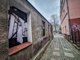 Niecodzienna wystawa zdjęć w wyburzanej kamienicy w Lesznie. Zdjęcia Petera Lindbergha przy Wąskiej i placu Metziga