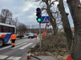 Ostre cięcie na Staszica w Chodzieży. Teraz jest bezpieczniej