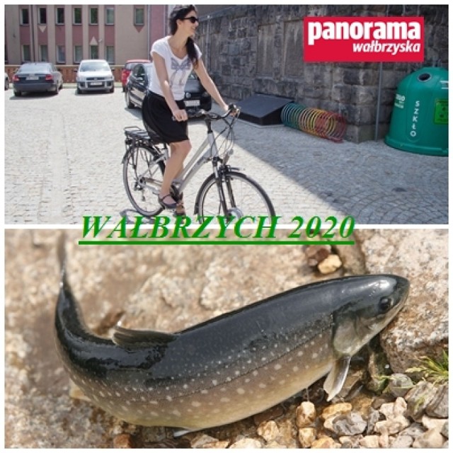 Urzędnicy na rowerach i ryby w Szczawniku. Władze miasta ujawniły plany na najbliższe miesiące związane z realizacją planu Wałbrzych 2020. Wyglądają imponująco.