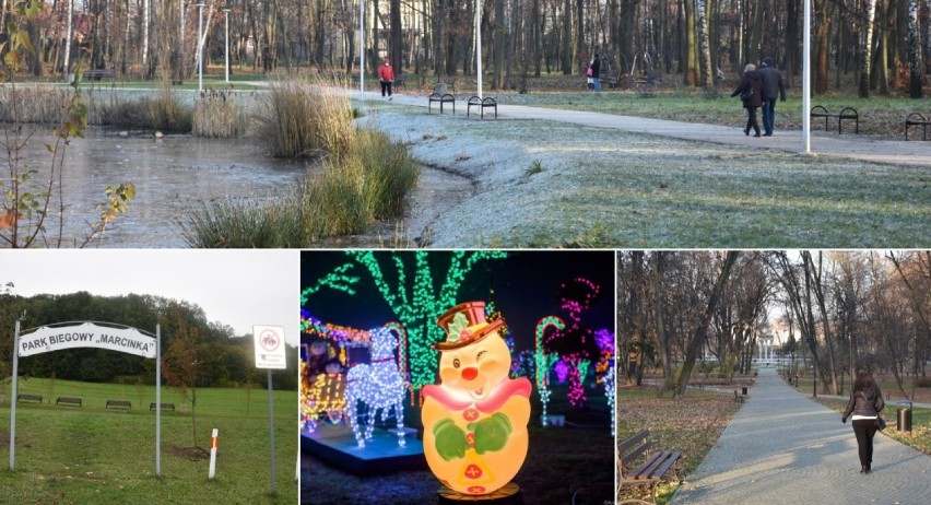 Pomysłów na aktywne spędzenie zimowego czasu w Tarnowie i...